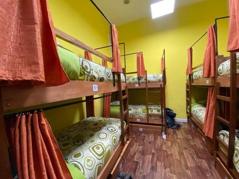 Saint Peter'S Llama Hostal La Paz Zewnętrze zdjęcie