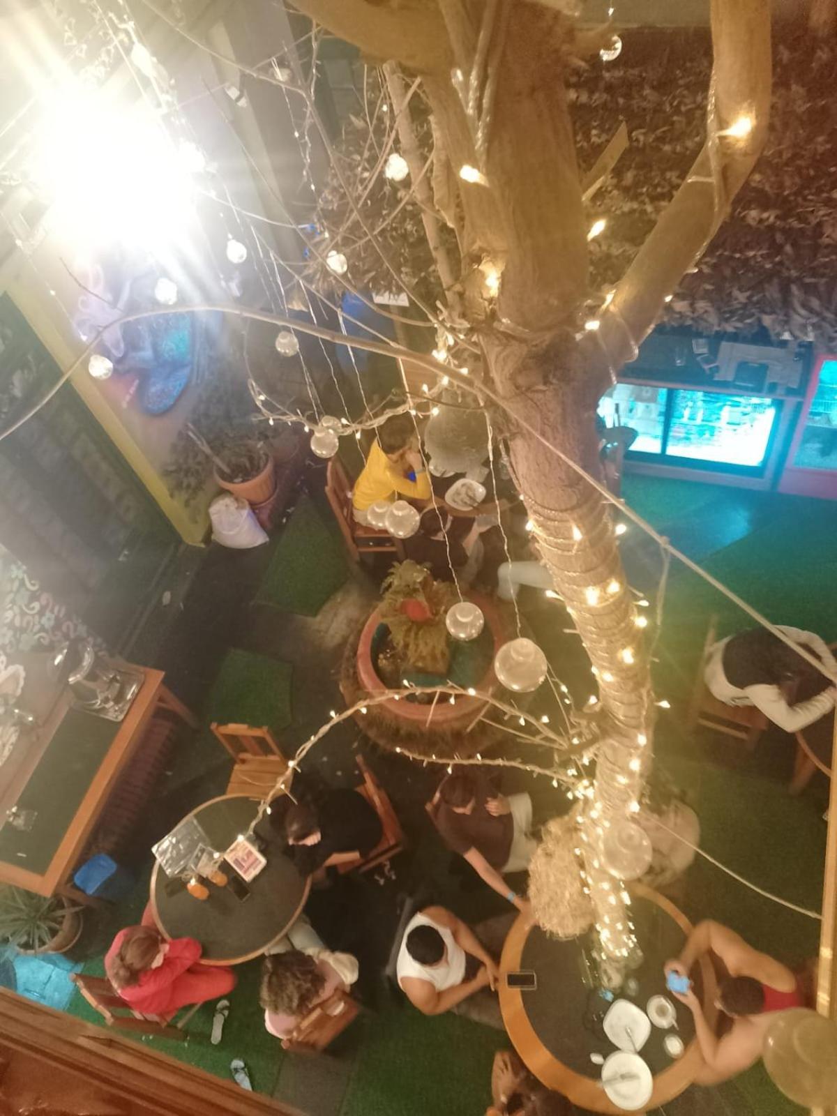 Saint Peter'S Llama Hostal La Paz Zewnętrze zdjęcie