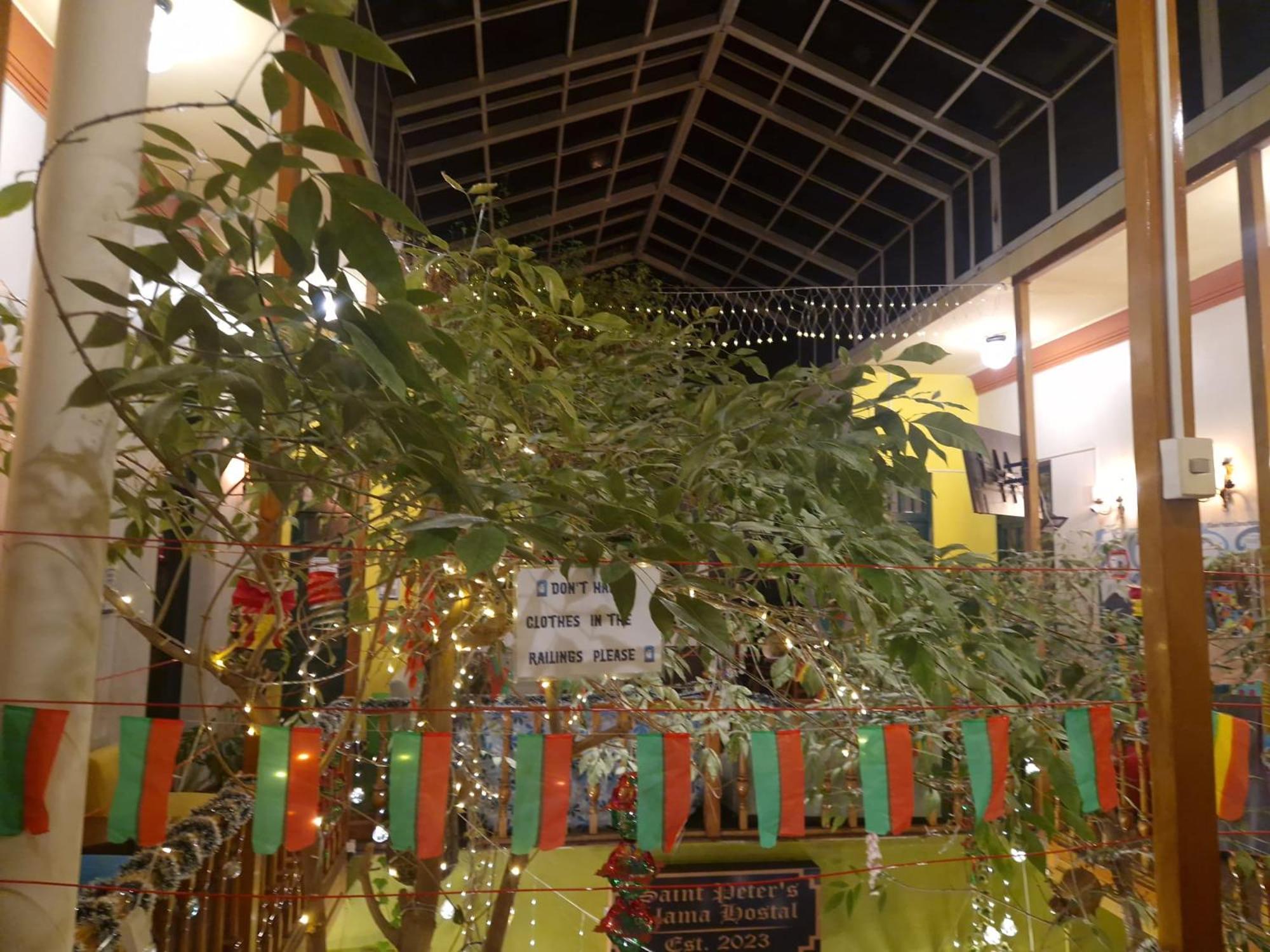 Saint Peter'S Llama Hostal La Paz Zewnętrze zdjęcie
