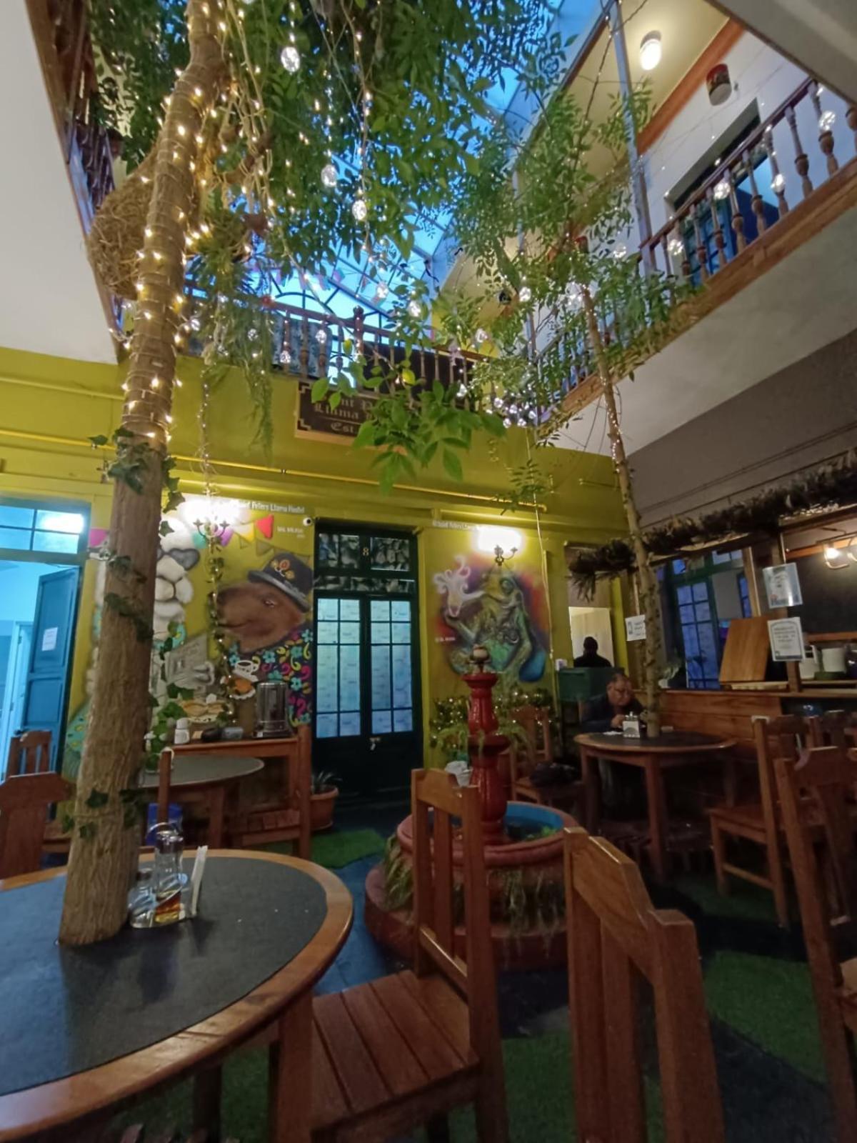 Saint Peter'S Llama Hostal La Paz Zewnętrze zdjęcie